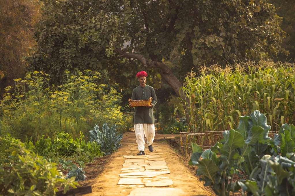 Отель Amanbagh Ajabgarh Удобства фото