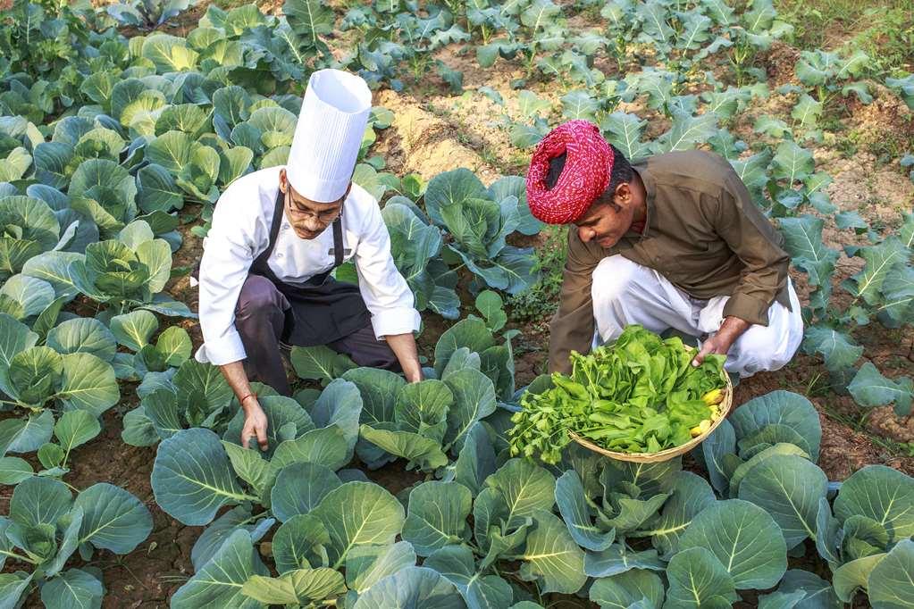 Отель Amanbagh Ajabgarh Удобства фото